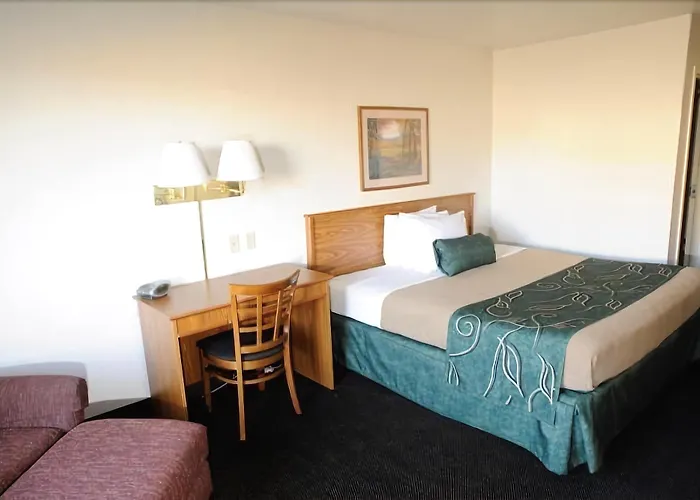 Travelodge By Wyndham River Wy Hotel 3*